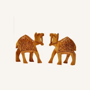 Camel Double Pices