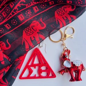 PURSE CHARMS & EARRINGS